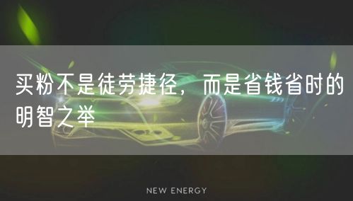 买粉不是徒劳捷径，而是省钱省时的明智之举