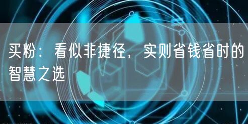 买粉：看似非捷径，实则省钱省时的智慧之选