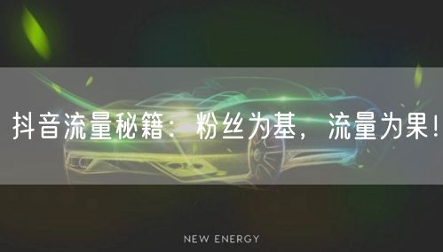 抖音流量秘籍：粉丝为基，流量为果！