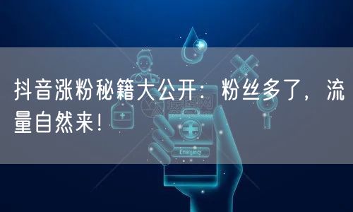 抖音涨粉秘籍大公开：粉丝多了，流量自然来！