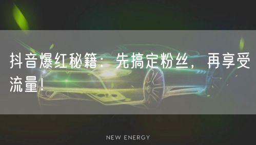 抖音爆红秘籍：先搞定粉丝，再享受流量！