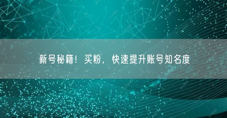 新号秘籍！买粉，快速提升账号知名度