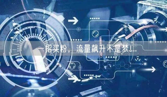一招买粉，流量飙升不是梦！