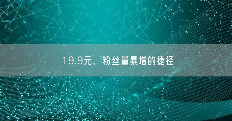 19.9元，粉丝量暴增的捷径