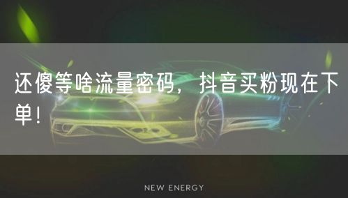 还傻等啥流量密码，抖音买粉现在下单！
