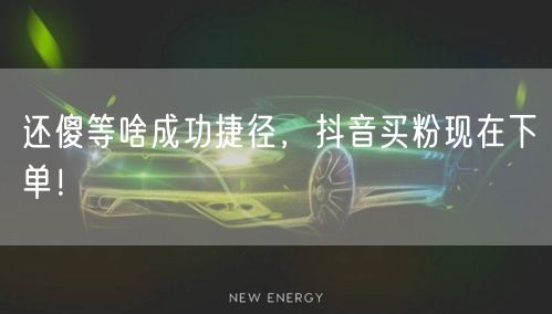 还傻等啥成功捷径，抖音买粉现在下单！
