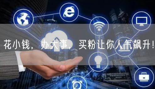 花小钱，办大事，买粉让你人气飙升！
