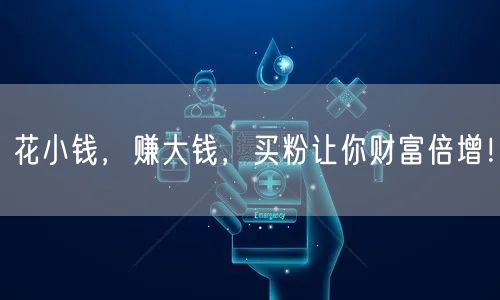 花小钱，赚大钱，买粉让你财富倍增！