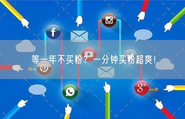 等一年不买粉？一分钟买粉超爽！