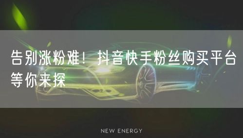 告别涨粉难！抖音快手粉丝购买平台等你来探