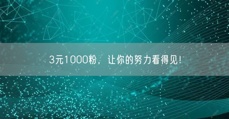 3元1000粉，让你的努力看得见！