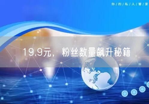 19.9元，粉丝数量飙升秘籍