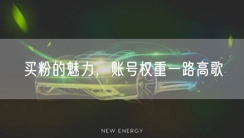 买粉的魅力，账号权重一路高歌