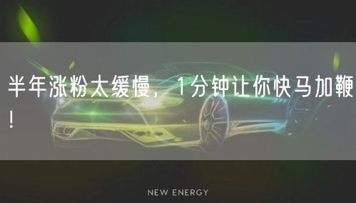 半年涨粉太缓慢，1分钟让你快马加鞭！