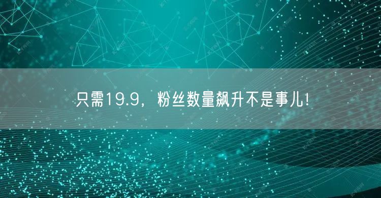 只需19.9，粉丝数量飙升不是事儿！