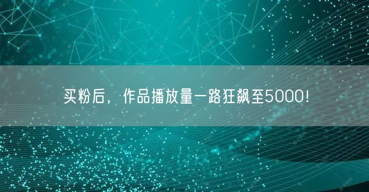 买粉后，作品播放量一路狂飙至5000！