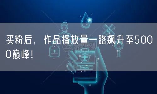 买粉后，作品播放量一路飙升至5000巅峰！
