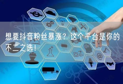 想要抖音粉丝暴涨？这个平台是你的不二之选！