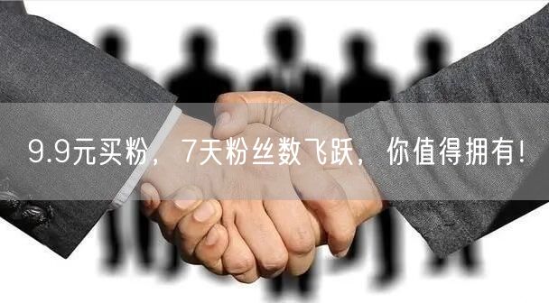 9.9元买粉，7天粉丝数飞跃，你值得拥有！
