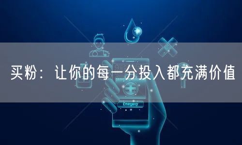 买粉：让你的每一分投入都充满价值