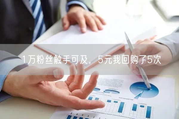 1万粉丝触手可及，5元我回购了5次