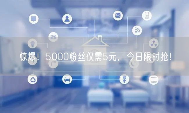 惊爆！5000粉丝仅需5元，今日限时抢！