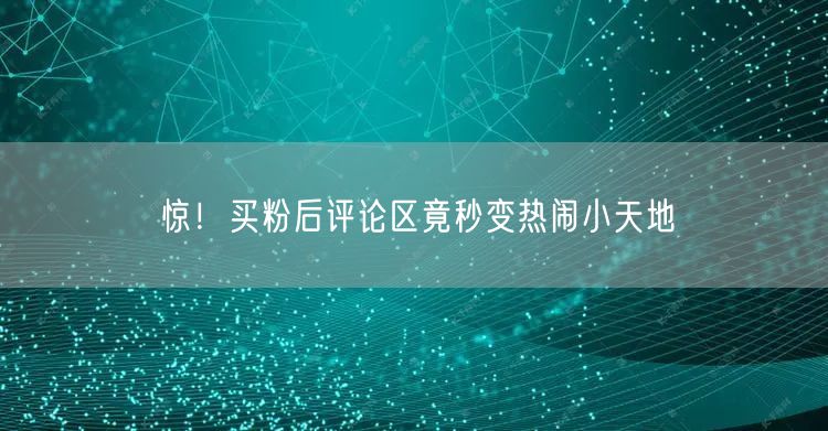 惊！买粉后评论区竟秒变热闹小天地