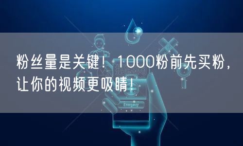粉丝量是关键！1000粉前先买粉，让你的视频更吸睛！