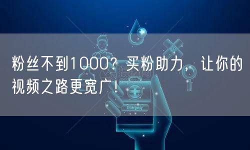 粉丝不到1000？买粉助力，让你的视频之路更宽广！