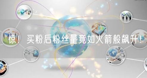 惊！买粉后粉丝量竟如火箭般飙升！
