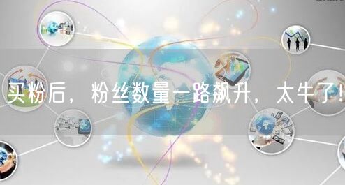 买粉后，粉丝数量一路飙升，太牛了！