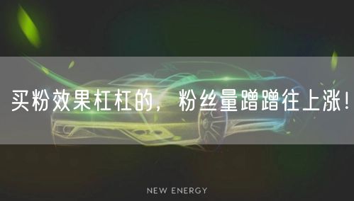买粉效果杠杠的，粉丝量蹭蹭往上涨！