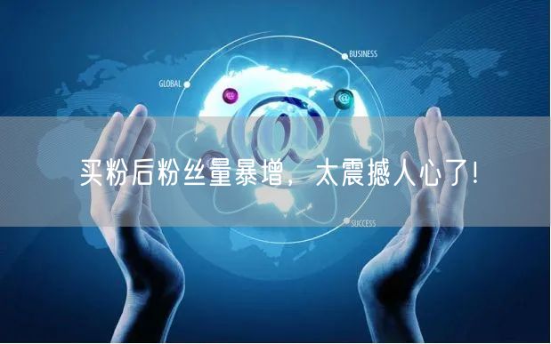 买粉后粉丝量暴增，太震撼人心了！