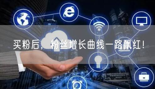 买粉后，粉丝增长曲线一路飘红！