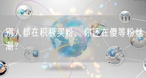 别人都在积极买粉，你还在傻等粉丝潮？