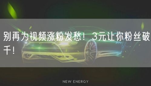 别再为视频涨粉发愁！3元让你粉丝破千！