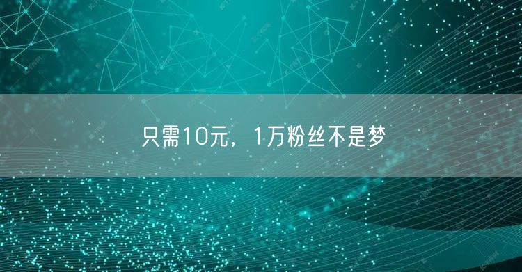 只需10元，1万粉丝不是梦