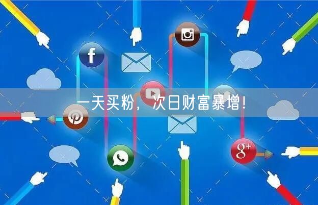 一天买粉，次日财富暴增！