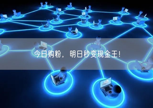 今日购粉，明日秒变现金王！