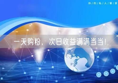 一天购粉，次日收益满满当当！
