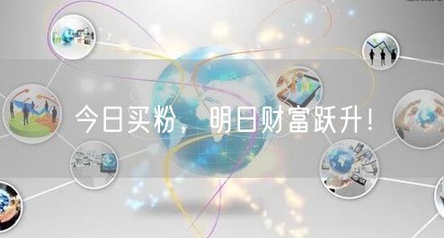 今日买粉，明日财富跃升！