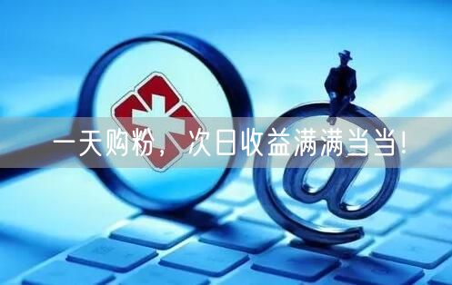 一天购粉，次日收益满满当当！