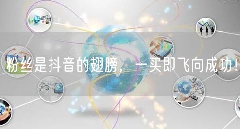 粉丝是抖音的翅膀，一买即飞向成功！