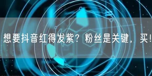 想要抖音红得发紫？粉丝是关键，买！