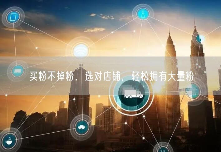 买粉不掉粉，选对店铺，轻松拥有大量粉
