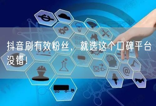 抖音刷有效粉丝，就选这个口碑平台没错！