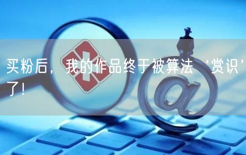 买粉后，我的作品终于被算法‘赏识’了！
