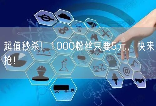 超值秒杀！1000粉丝只要5元，快来抢！