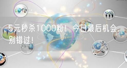 5元秒杀1000粉！今日最后机会，别错过！
