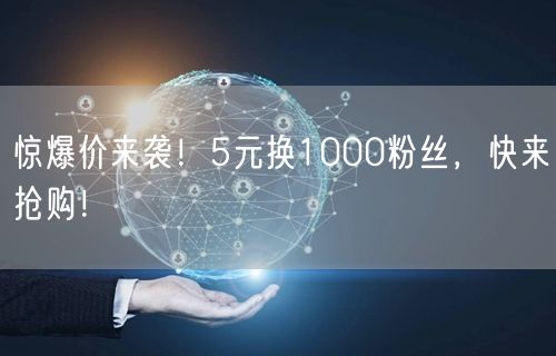 惊爆价来袭！5元换1000粉丝，快来抢购！